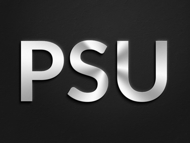 Profitable PSU